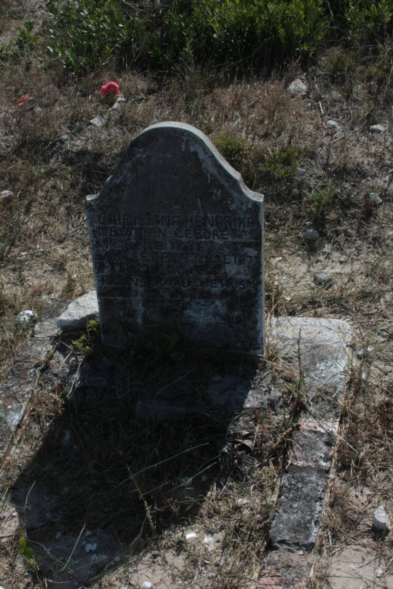 NEWMAN Christina Hendrika 1896-1977
