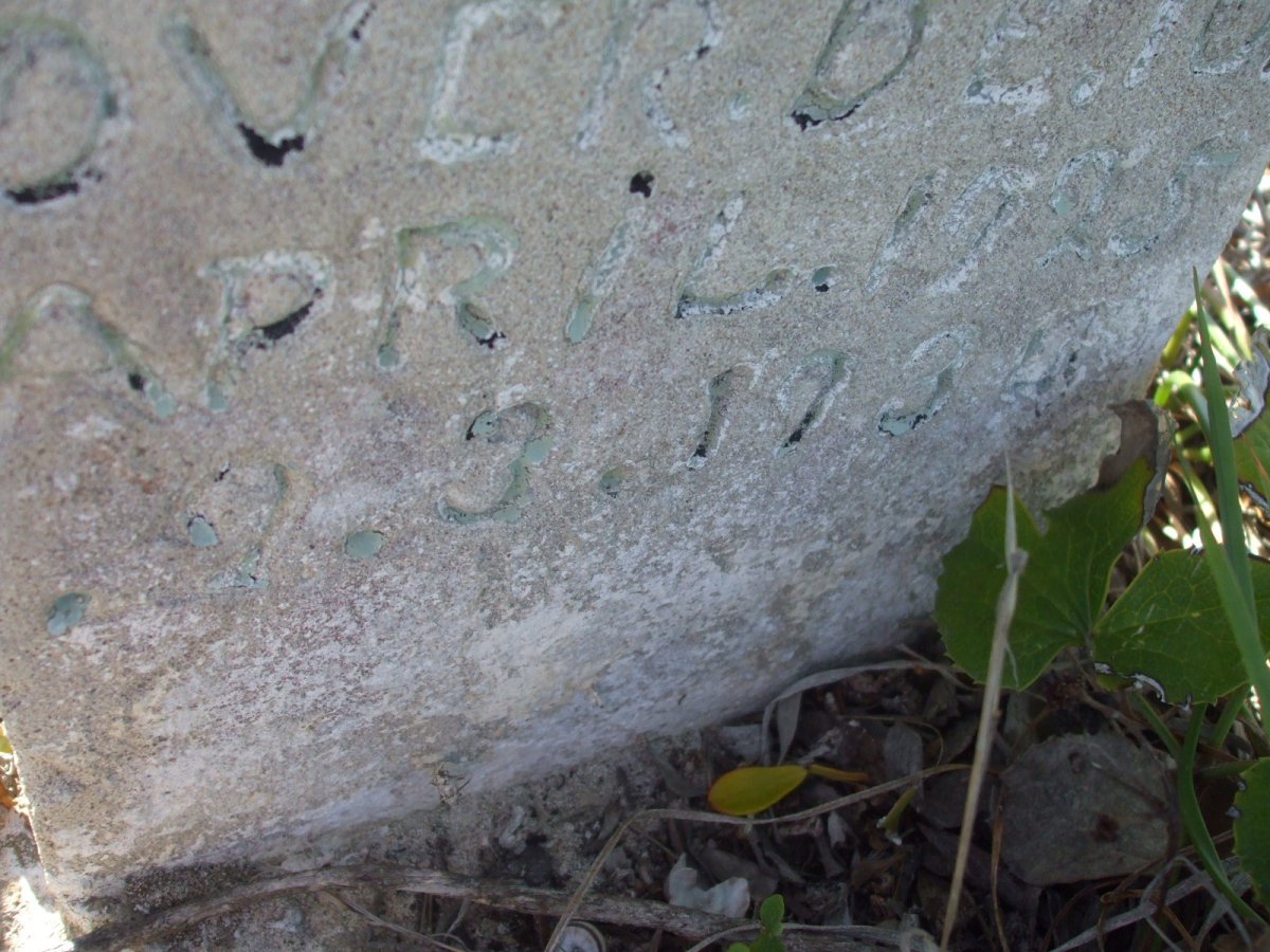 NEW William J. 1925-1938