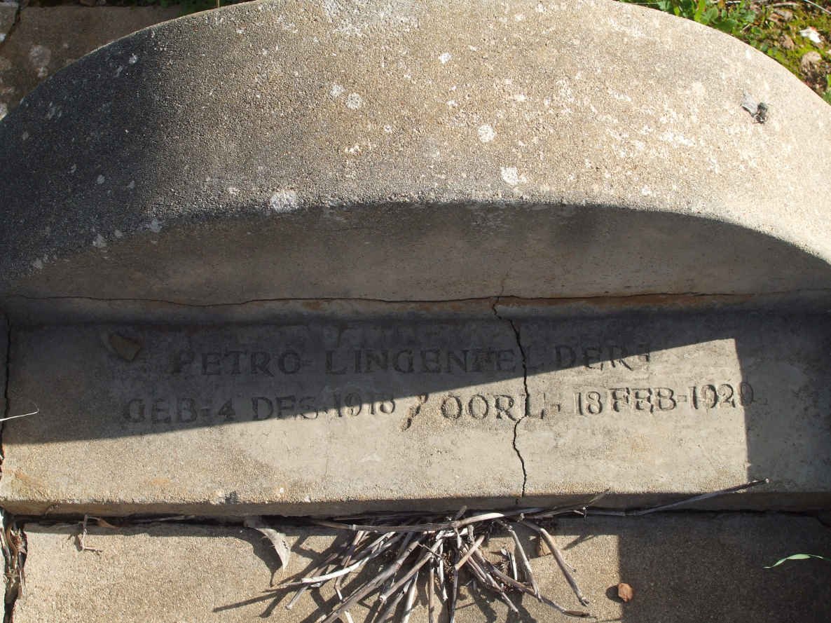 DERT Petro Lingeniel 1913-1920