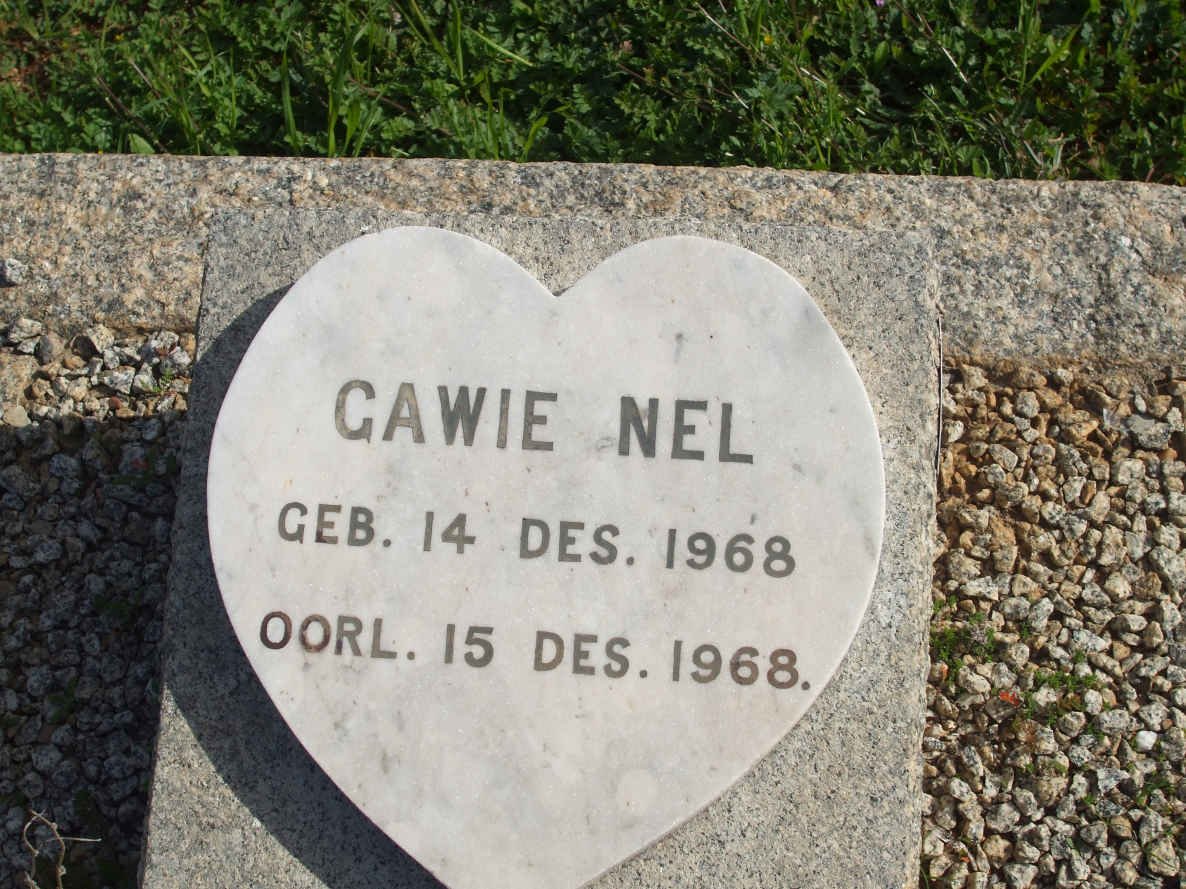 NEL Gawie 1968-1968