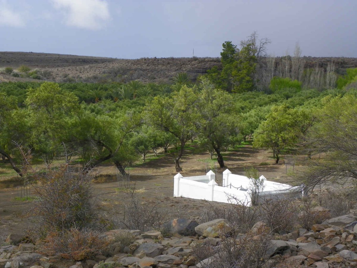 1. Oorsig/overview