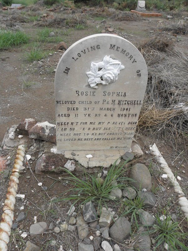 MITCHELL Rosie Sophia -1901