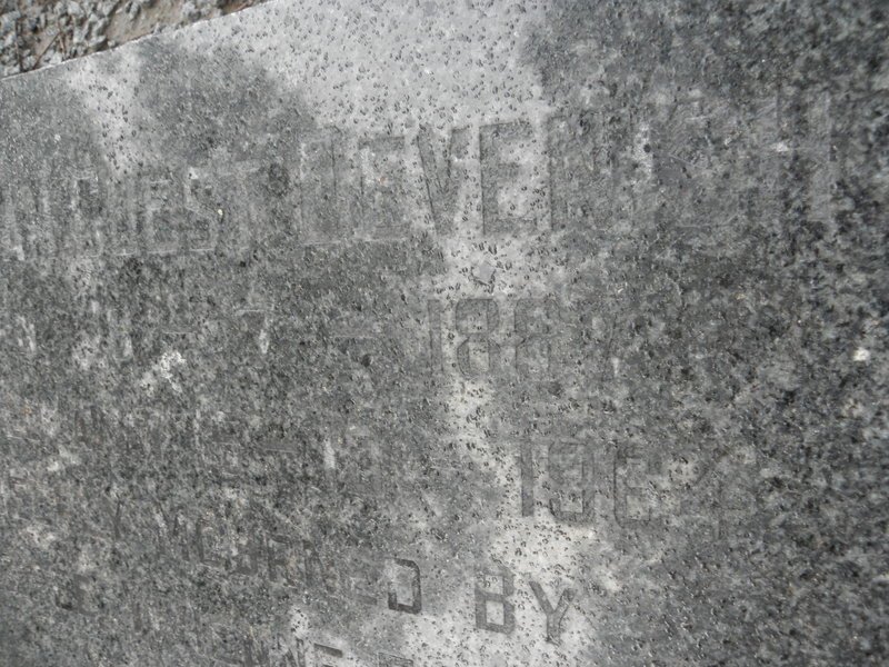 DEVENISH William Guest 1887-1964