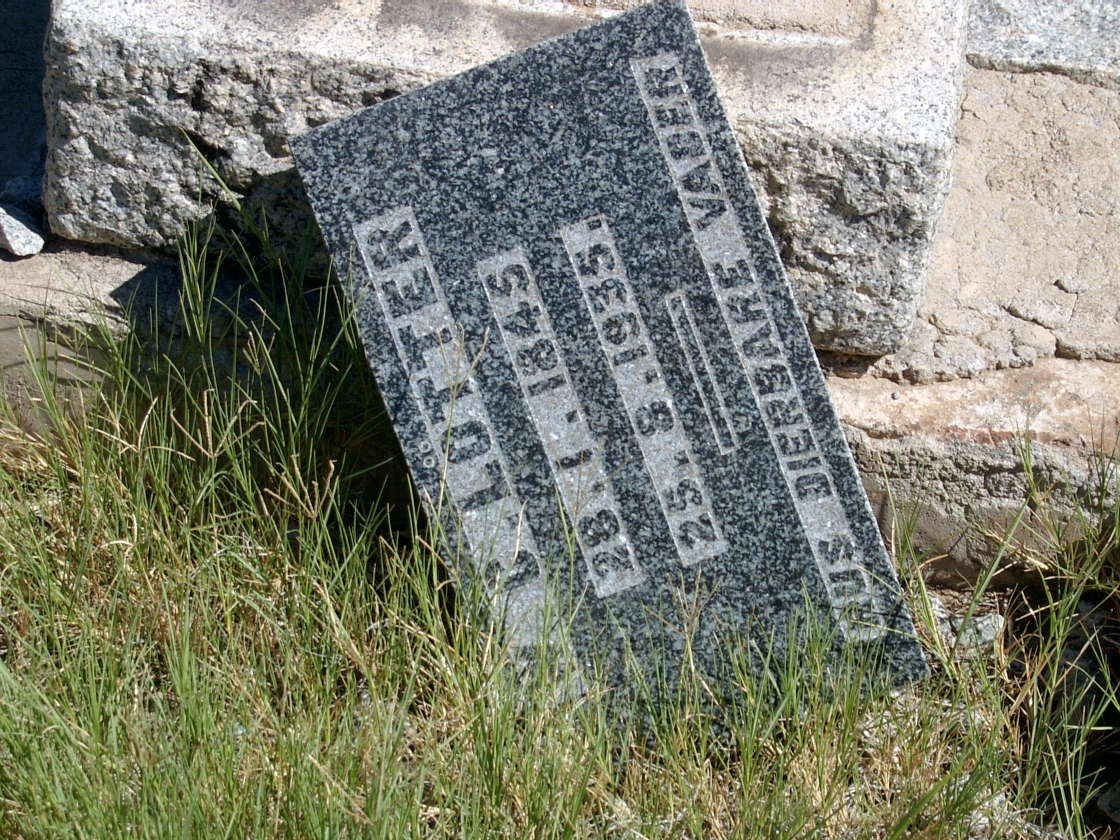 LOTTER C. 1845-1935