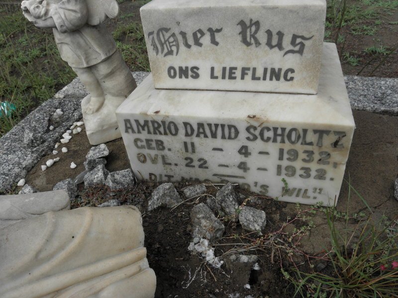 SCHOLTZ Amrio David 1932-1932