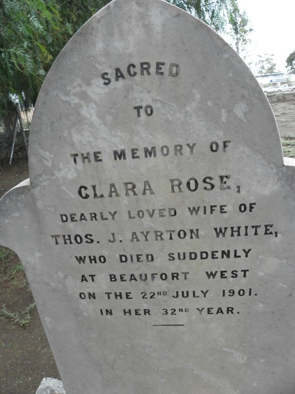 WHITE Clara Rose -1901