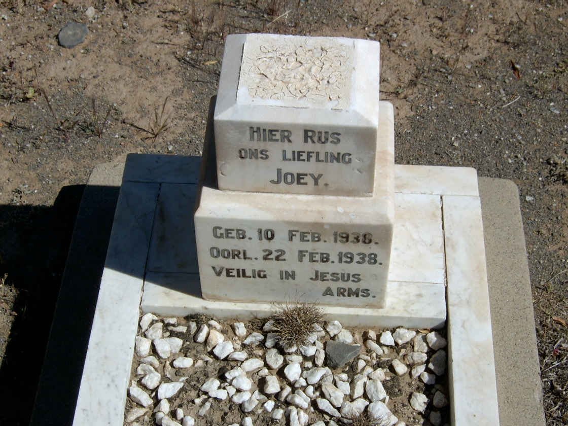 ? Joey 1938-1938