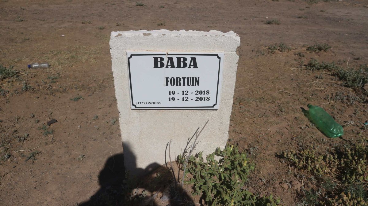 FORTUIN Baba 2018-2018