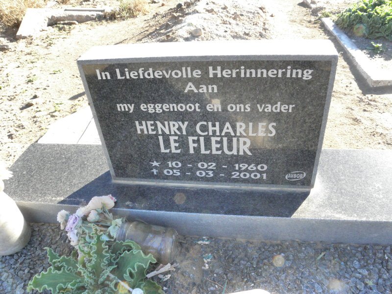 FLEUR Henry Charles, Le 1960-2001
