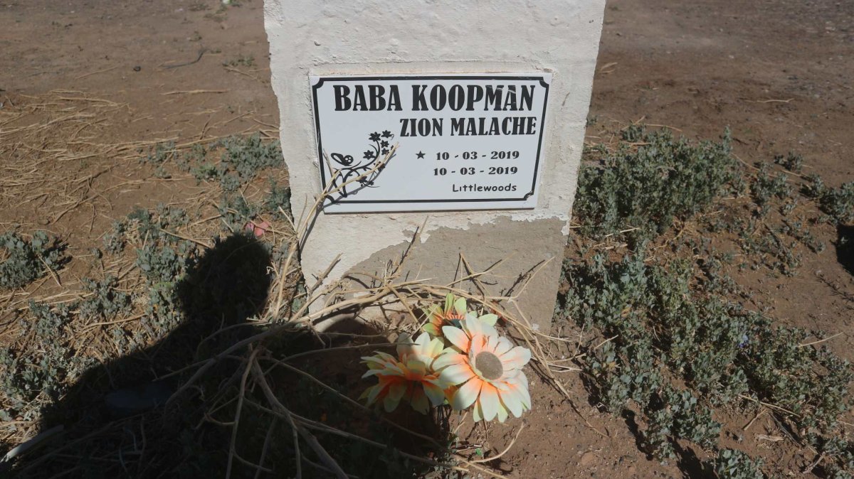 KOOPMAN Baba 2019-2019