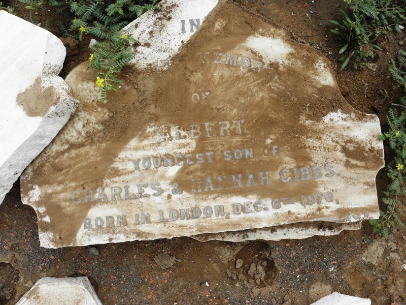 GIBBS Albert 1870-?