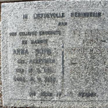 SNYDERS Petrus Casparus 1882-1961 &amp; Anna Sophia ACKERMAN 189?-1956