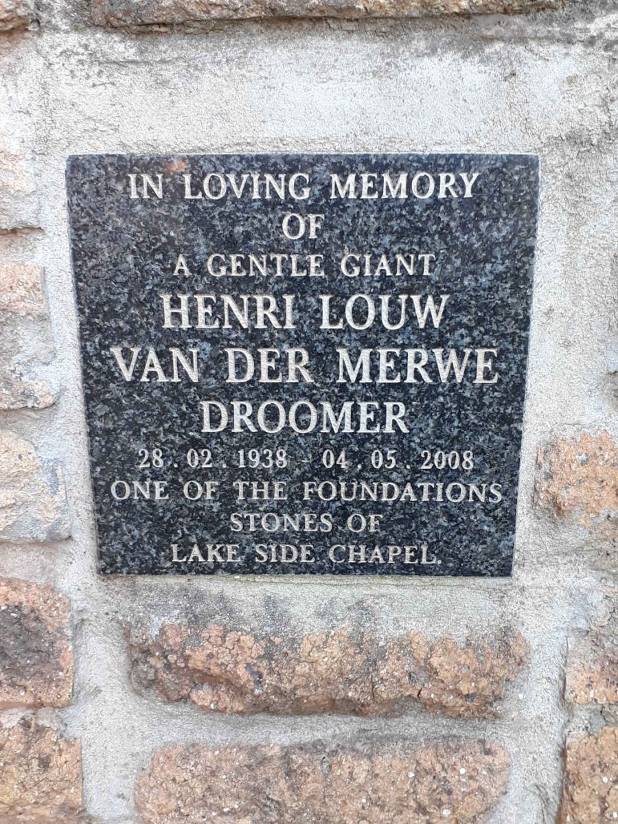 DROOMER Henri Louw van der Merwe 1938-2008
