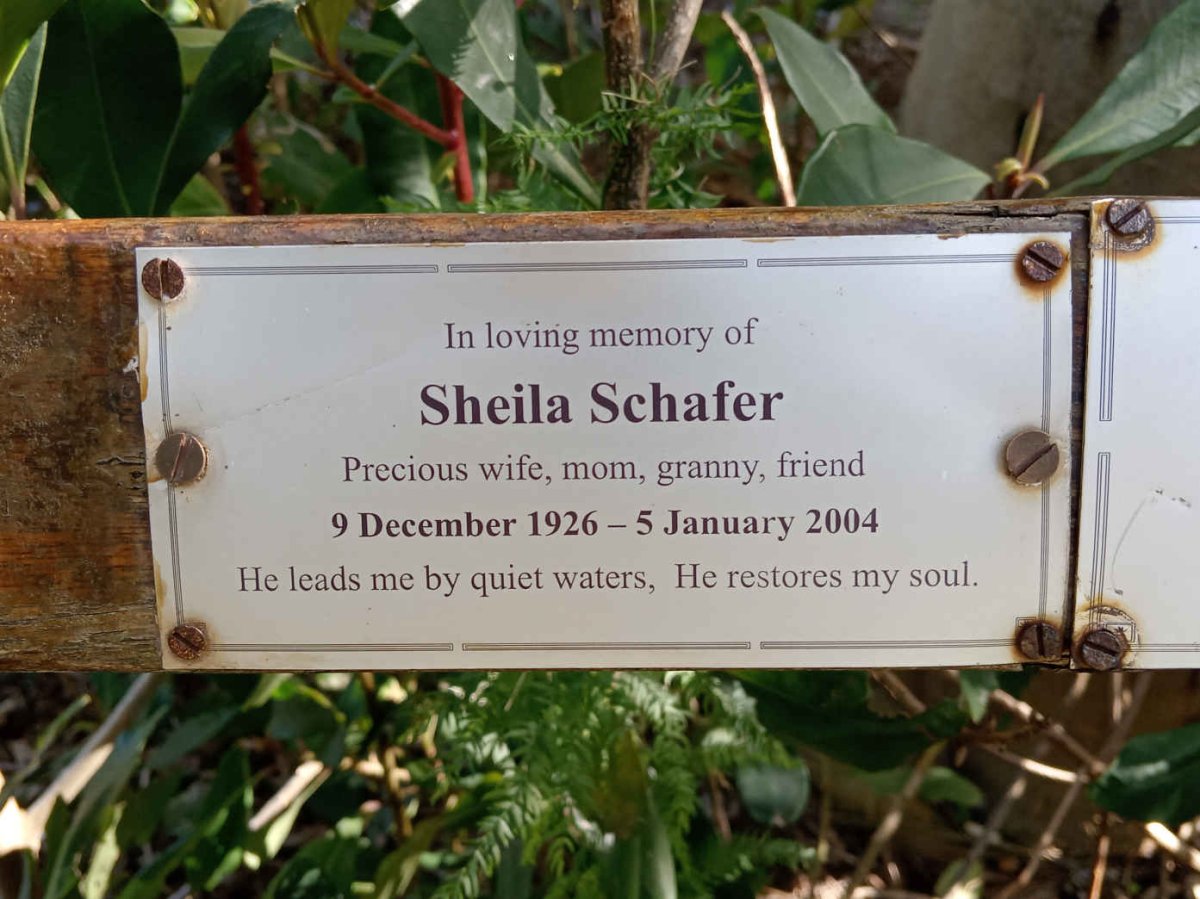 SCHAFER Sheila 1926-2004
