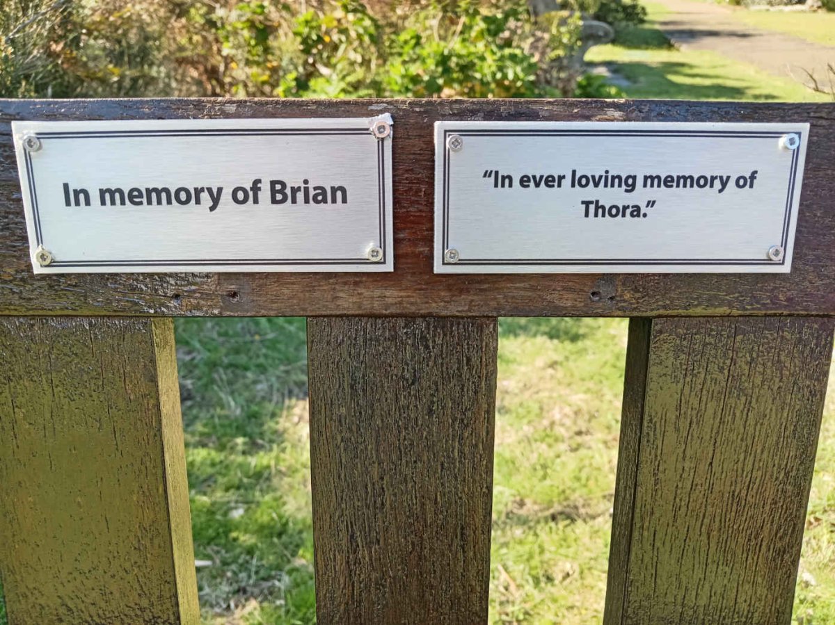 ? Brian :: ? Thora