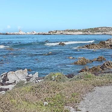 Western Cape, BETTY'S BAY, Stoney Point, Penguin Sanctuary memorials
