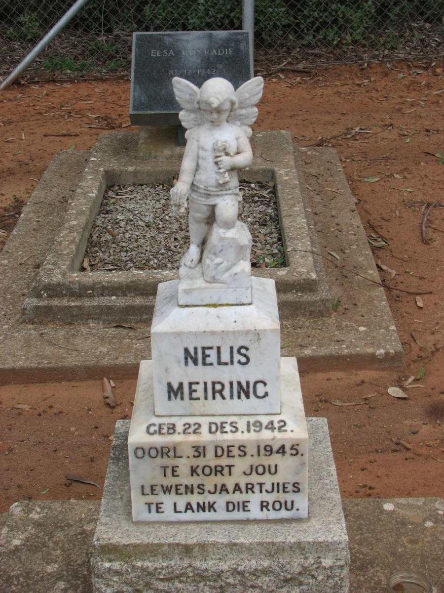 MEIRING Nelis 1942-1945