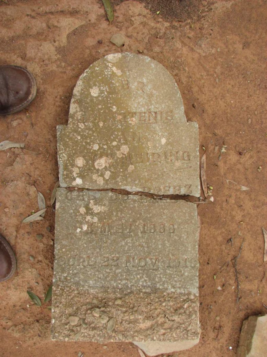 MEIRING ?? nee DU PREEZ 1880-1918