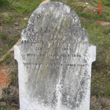 EKSTEEN Arnoldus1843-1896 :: EKSTEEN H.A.