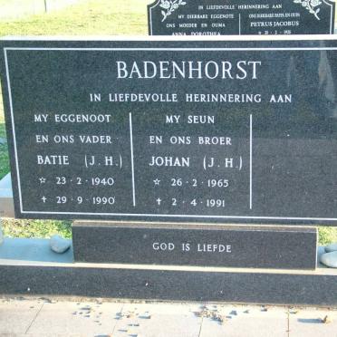 BADENHORST J.H. 1940-1990 :: BADENHORST J.H. 1965-1991