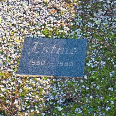 ?? Estine 1950-1989