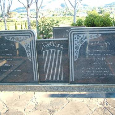 NEETHLING Colley 1880-1964 &amp; Susara P.D. 1893-1982