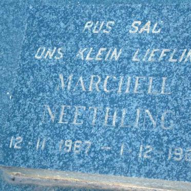 NEETHLING Marchell 1967-1967