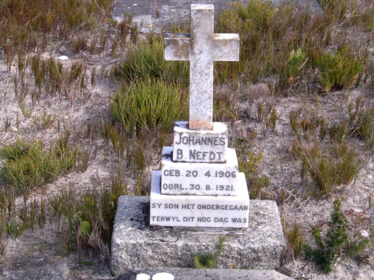 NEFDT Johannes B. 1906-1921