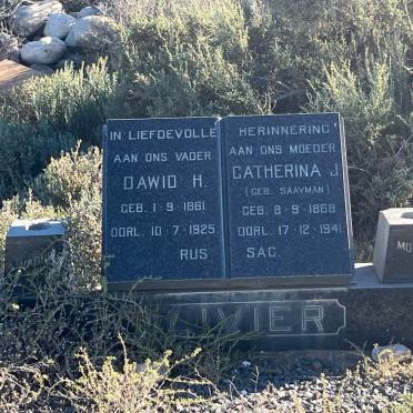 OLIVIER Dawid H. 1861-1925 &amp; Catherina J. SAAYMAN 1868-1941