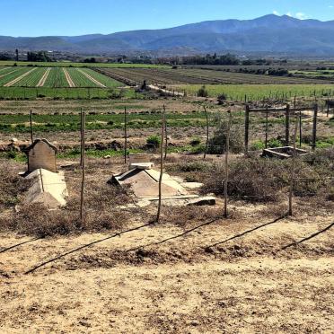 Western Cape, CALITZDORP district, Calitzdorp, Goedverwagting 35_8, farm cemetery