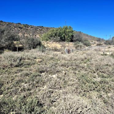 Western Cape, CALITZDORP district, Calitzdorp, Goedverwagting 35_9, farm cemetery