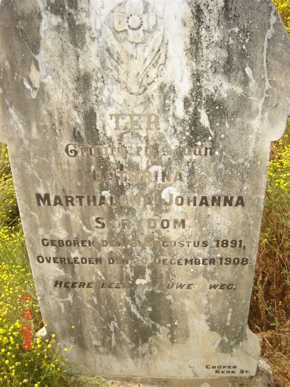 STRYDOM Cathrina Marthalena Johanna 1891-1908