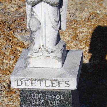 DEETLEFS Danie 1955-1960