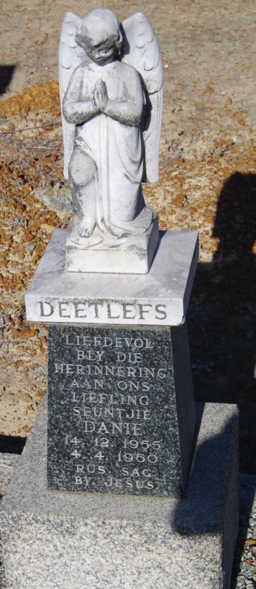 DEETLEFS Danie 1955-1960