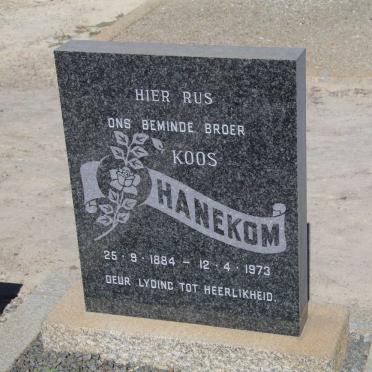 HANEKOM Koos 1884-1973