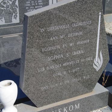 HANEKOM Sophia S. nee van der MERWE 1922-1977