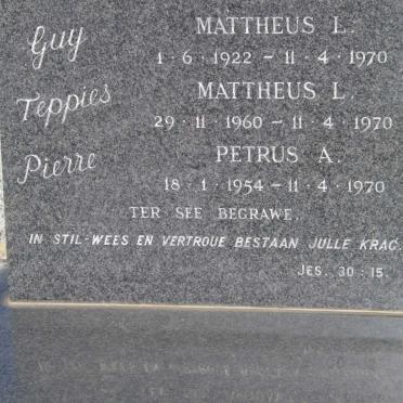 STEENKAMP Mattheus L. 1922-1970 :: STEENKAMP Mattheus L. 1960-1970 :: STEENKAMP Petrus A. 1954-1970