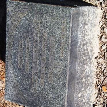 SNYMAN Anna A. nee v.d. MERWE 1869-1944