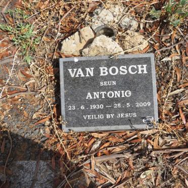 B - Vanne :: Surnames - B
