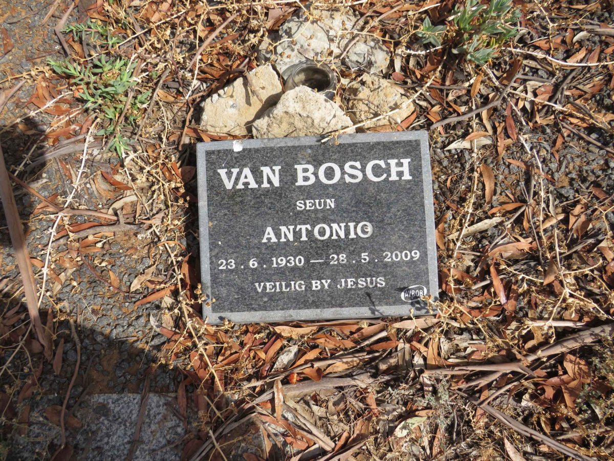 BOSCH Antonio, van 1930-2009