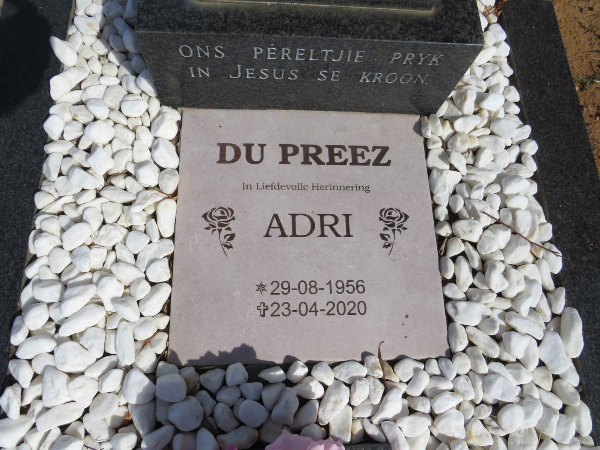 PREEZ Adri, du 1956-2020 :: DU PREEZ 1984-1984 _2