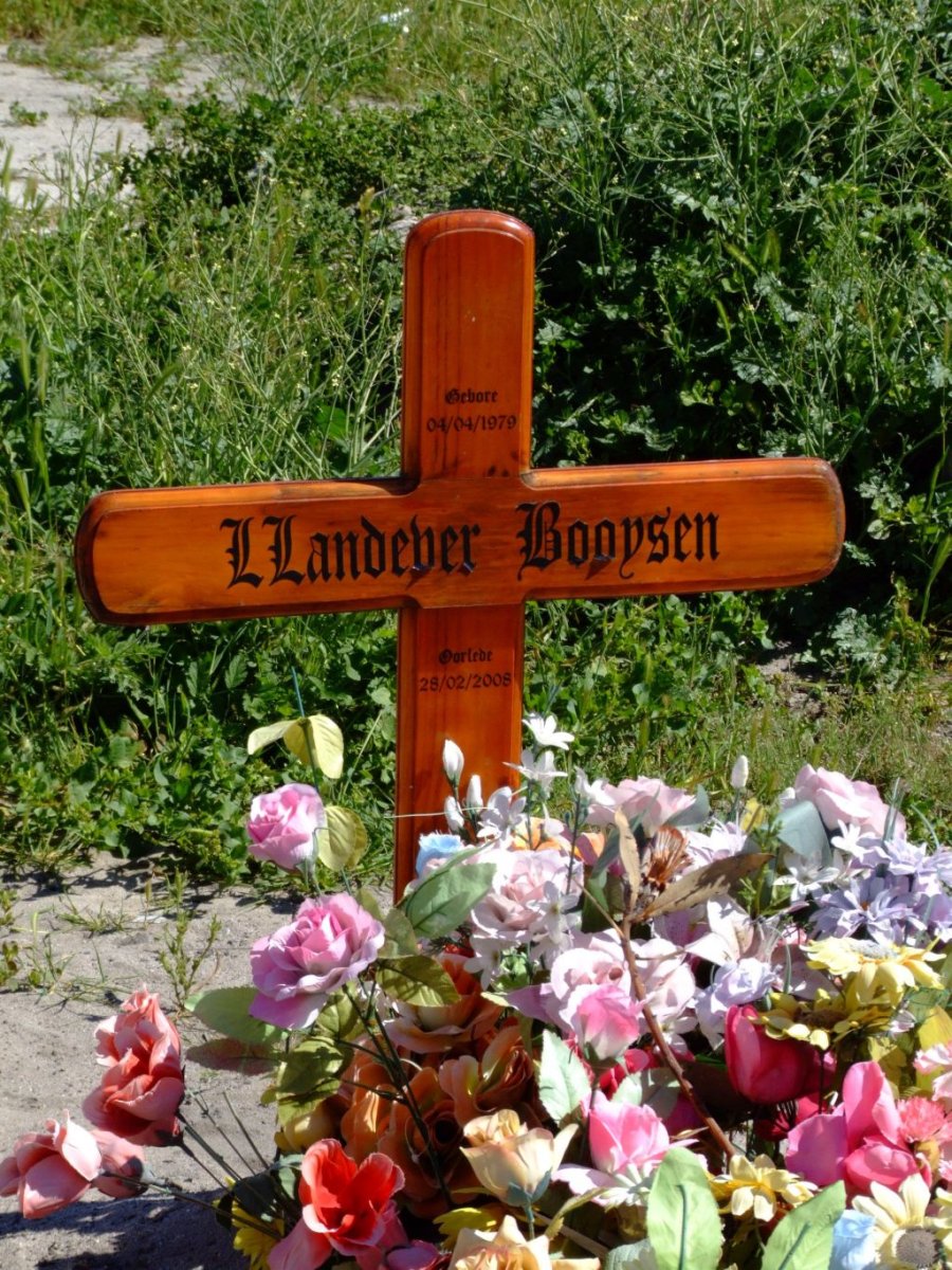 BOOYSEN Llandeber 1979-2008