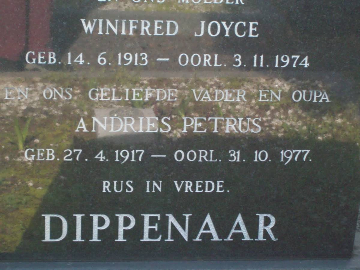 DIPPENAAR Andries Petrus 1917-1977 &amp; Winifred Joyce 1913-1974