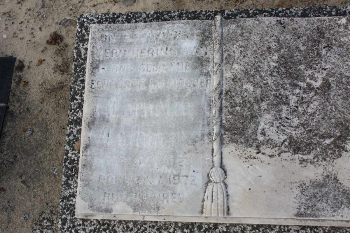 HEERDEN Cornelia Catharina, van  1923-1972