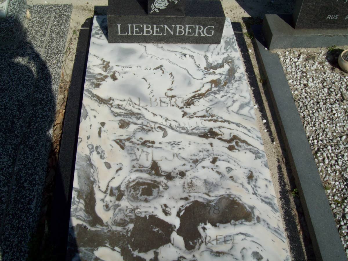 LIEBENBERG Albertus Jacobus Viljoen 1908-1978