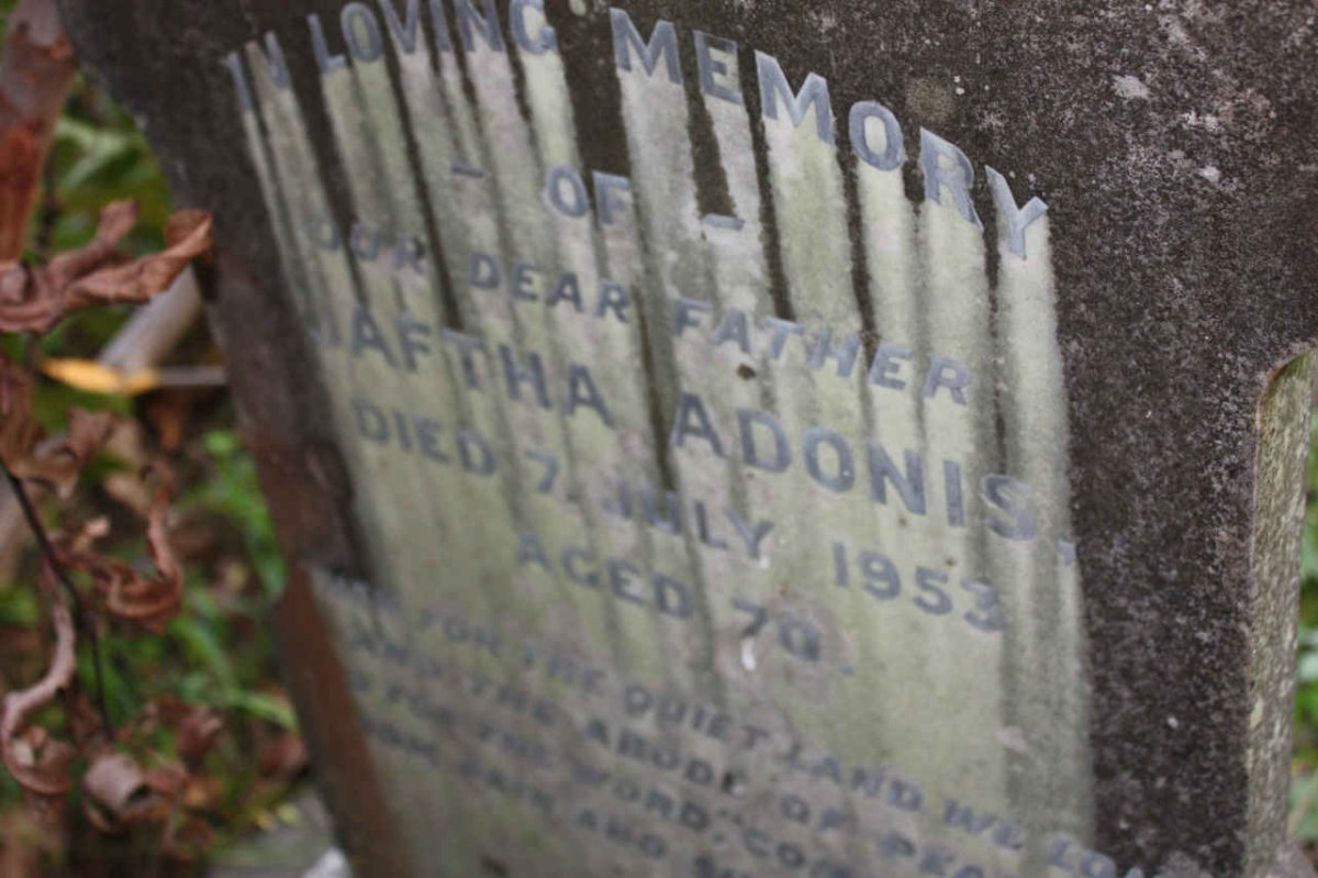 ADONIS Jaftha -1953