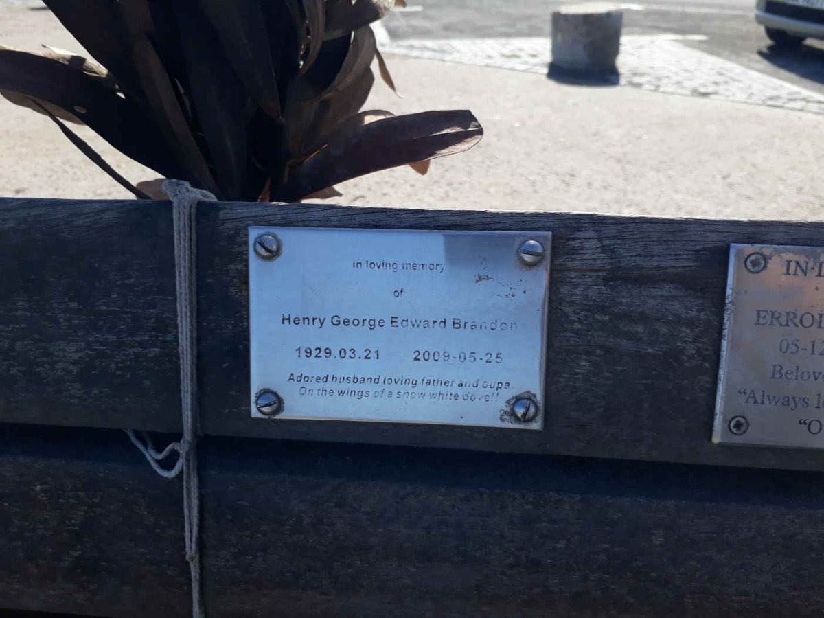 BRANDON Henry George Edward 1929-2009