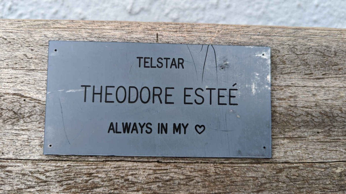 ESTEE Theodore