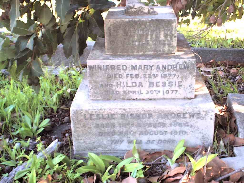 ANDREWS Leslie Bishop 1884 - 1910 :: ANDREWS Winifred Mary :: ANDREWS Hilda Bessie