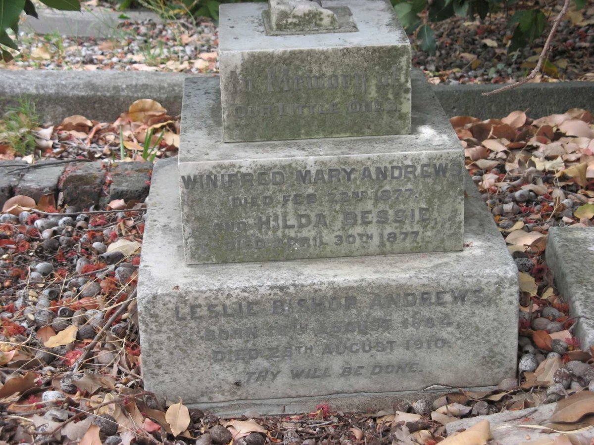 ANDREWS Winifred Mary -1877 :: ANDREWS Hilda Bessie -1877 :: ANDREWS Leslie Bishop 1882-1910